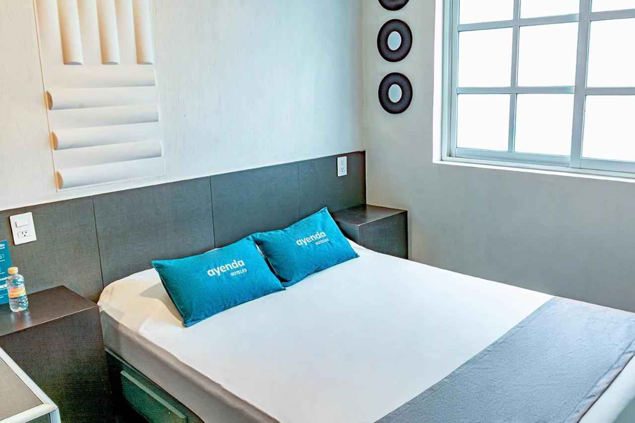 Hotel Ayenda La Selva Meksyk Zewnętrze zdjęcie