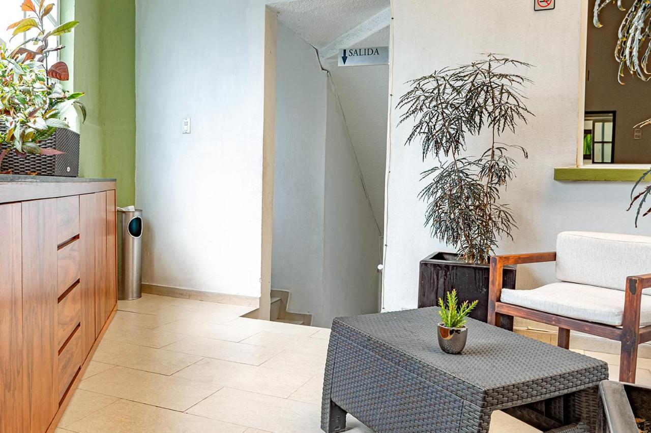 Hotel Ayenda La Selva Meksyk Zewnętrze zdjęcie