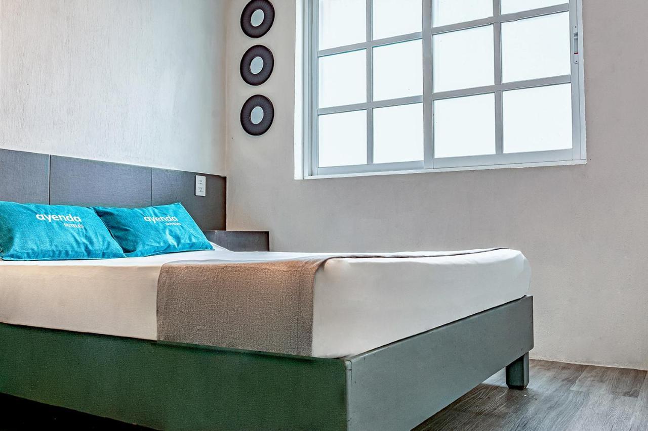 Hotel Ayenda La Selva Meksyk Zewnętrze zdjęcie