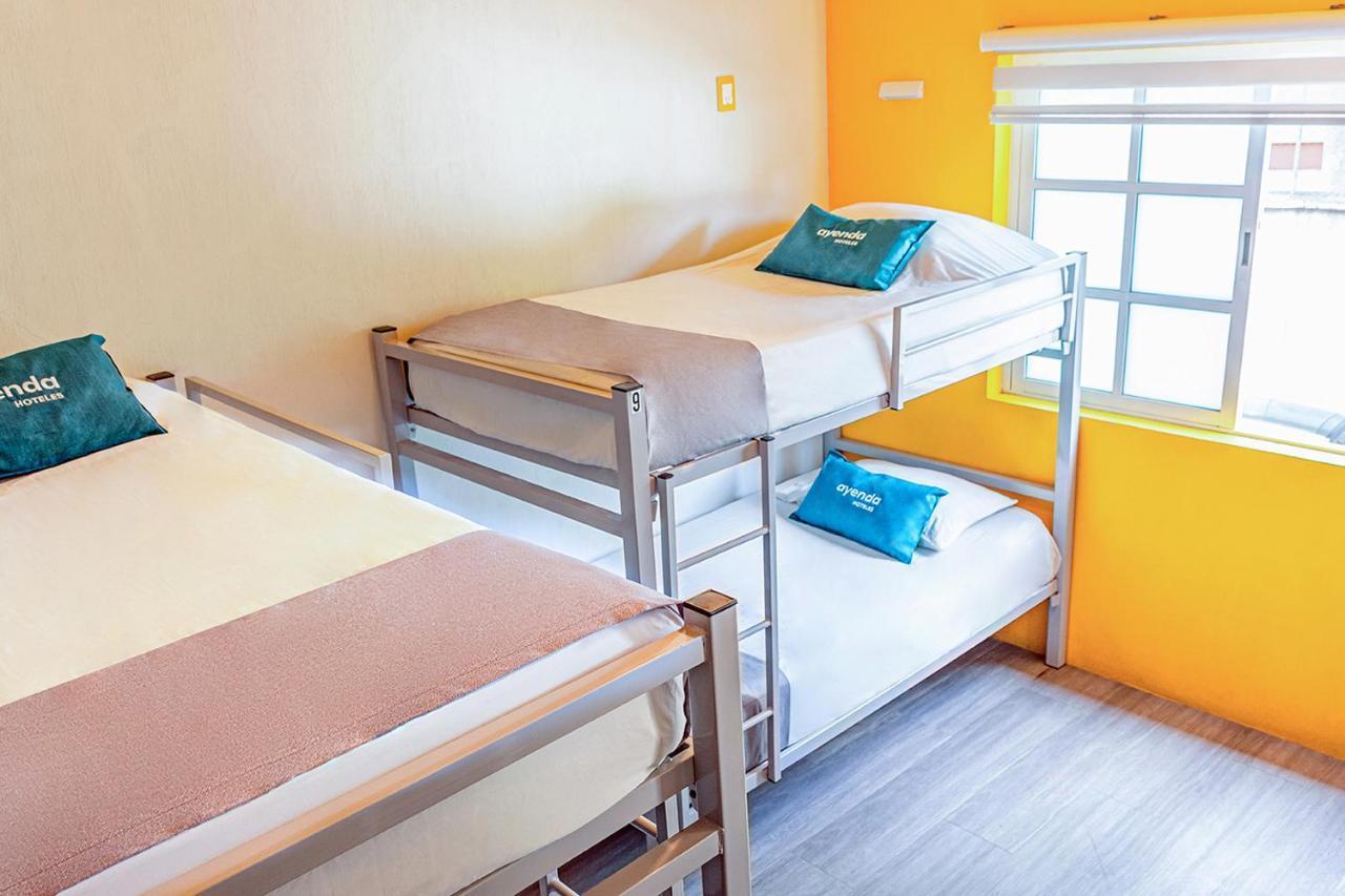 Hotel Ayenda La Selva Meksyk Zewnętrze zdjęcie